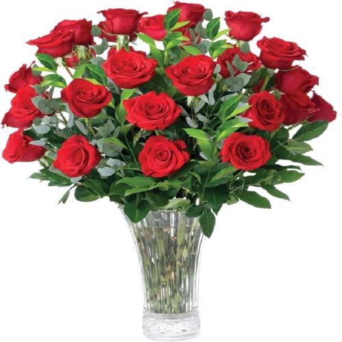 Red Roses Flowers Fresh Bouquet, Fresh Flowers for Delivery, 24 Fresh Cut Stems